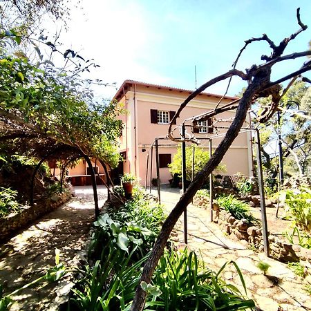 Aragonite Azzurra Casa Vacanza 고네사 외부 사진