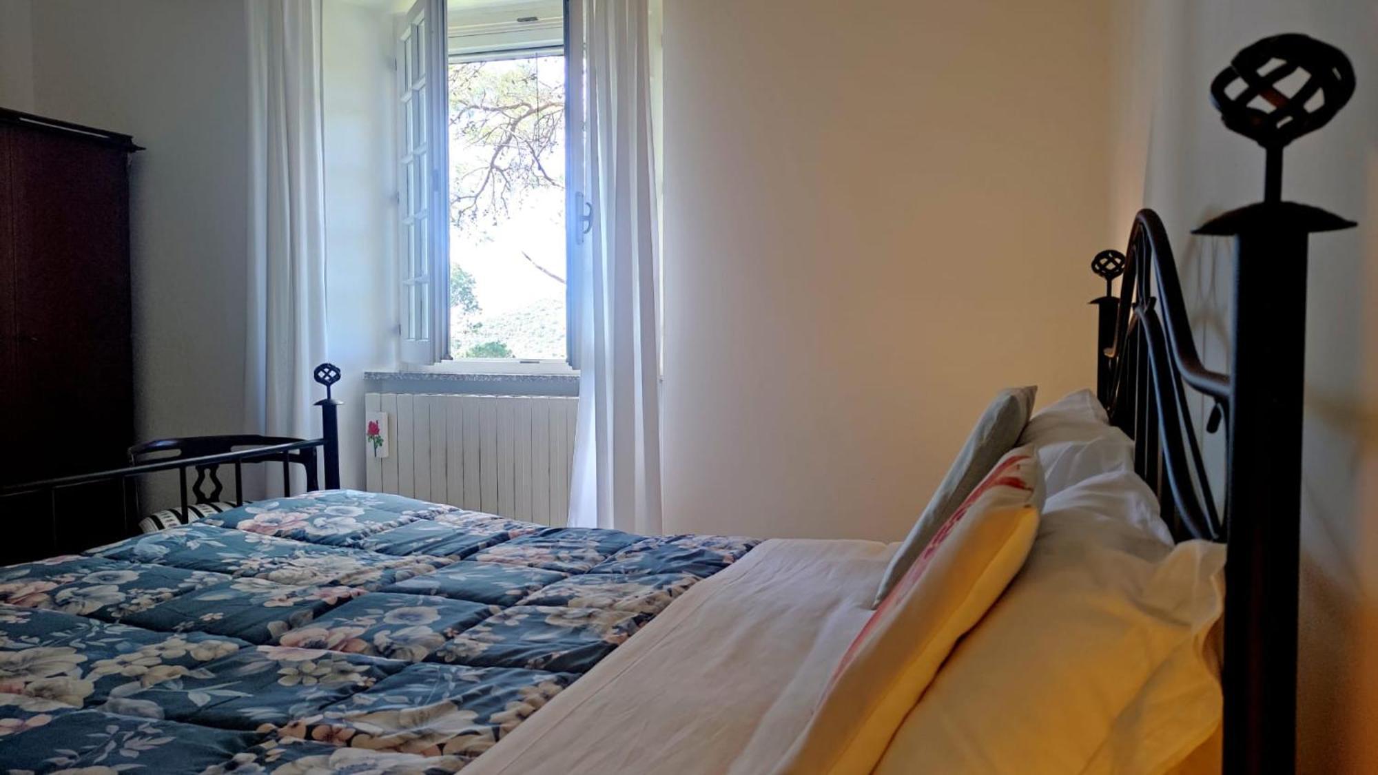 Aragonite Azzurra Casa Vacanza 고네사 외부 사진