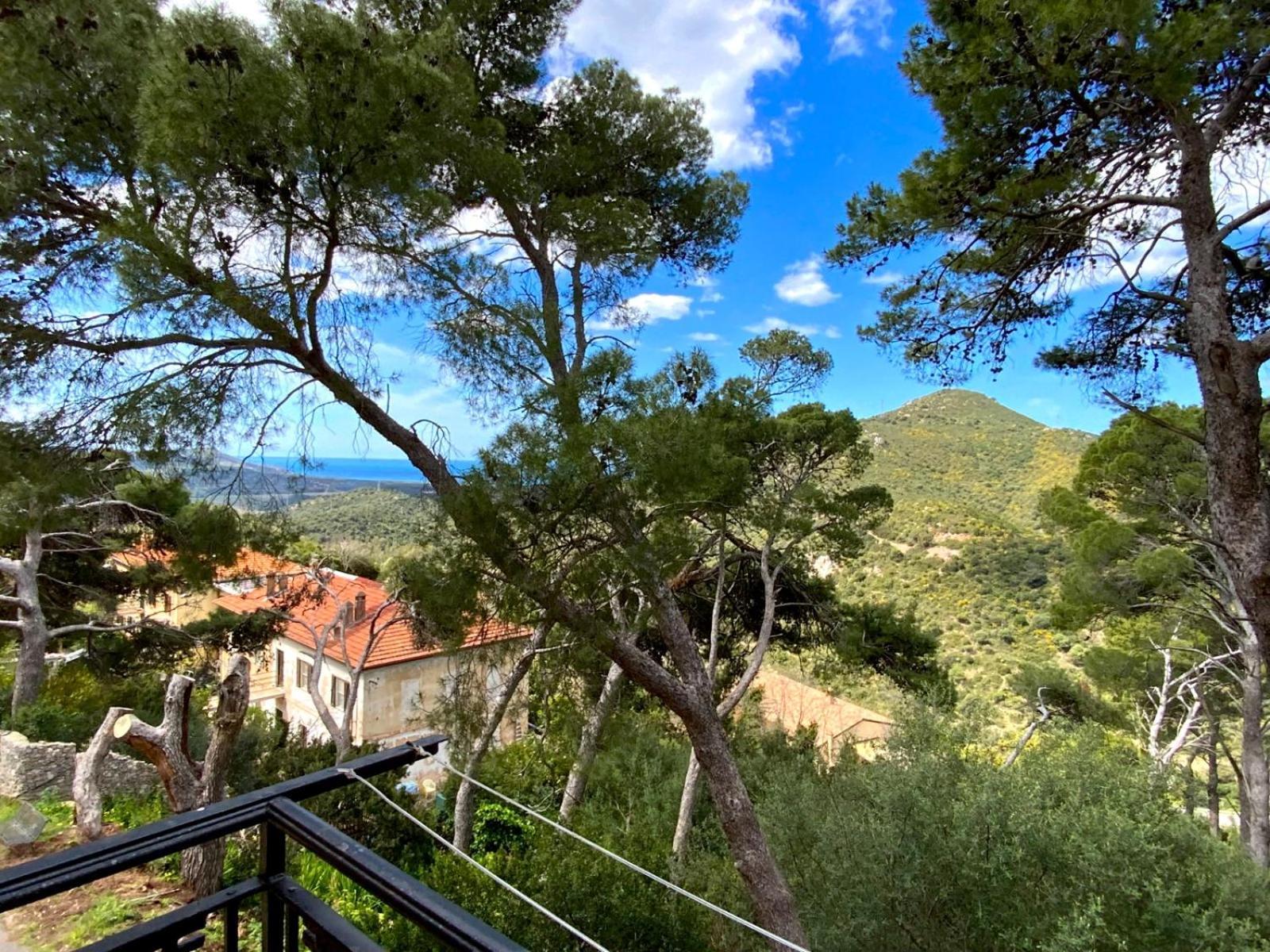 Aragonite Azzurra Casa Vacanza 고네사 외부 사진
