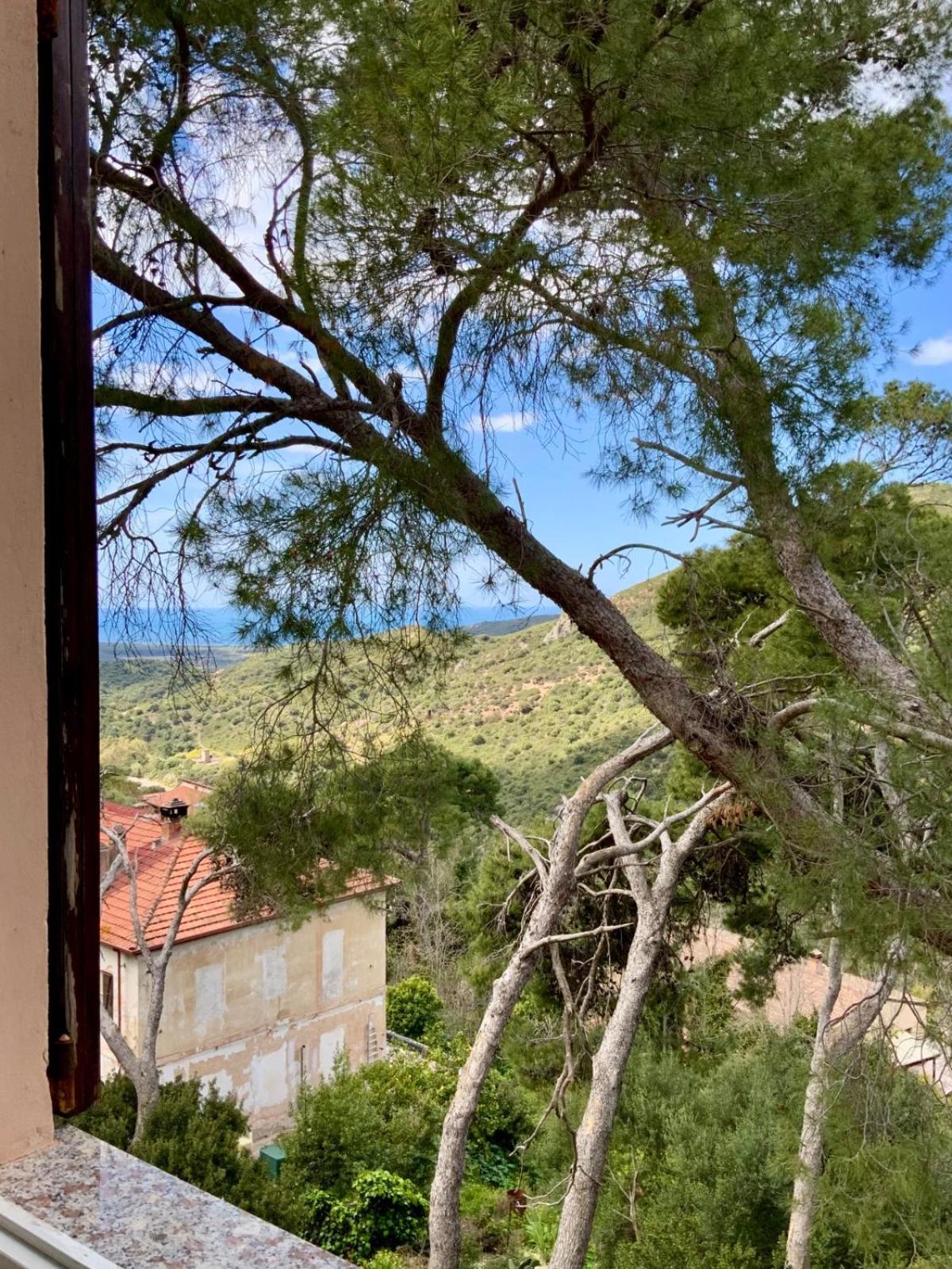 Aragonite Azzurra Casa Vacanza 고네사 외부 사진